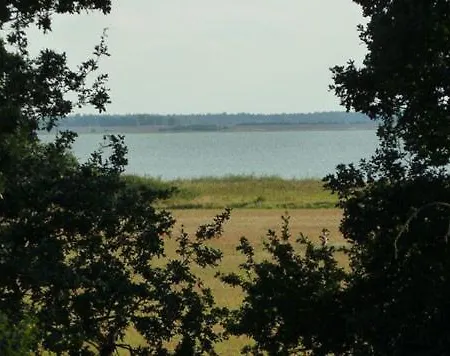 بيت للعطل Am Luetten Bagen Darsser Pianohaus بون